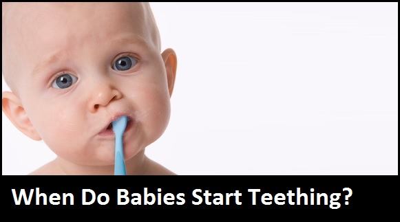 When Do Babies Start Teething?