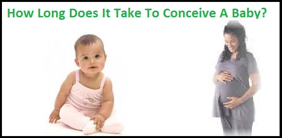 how-long-does-it-take-to-conceive-a-baby